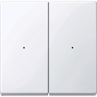 SM, КЛАВИША ДЛЯ МОДУЛЯ 2 КН. ВЫК, АК.БЕЛ