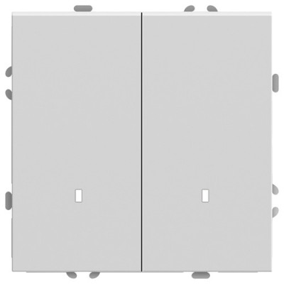 Feron  Выключатель 2-клавишный c индикатором (механизм) 250В, 10А, серия Эмили, RSW10-5102-01, белый фарфор, soft touch, 49864, STEKKER