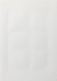 141300 Gira Листы для надписей E2 тип 3