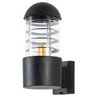 Arte Lamp COPPIA, Уличный светильник, цвет арматуры - черный, цвет плафона/декора - прозрачный, 1x20W E27, A5217AL-1BK