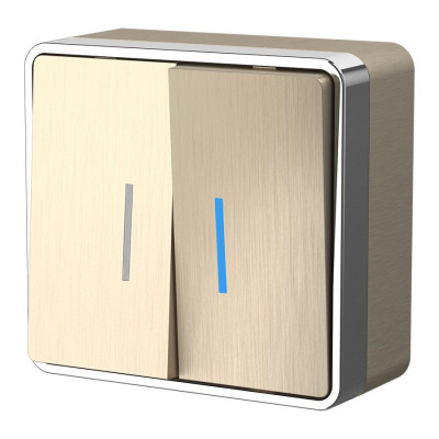 Werkel W5020110/ Выключатель двухклавишный с подсветкой Gallant (шампань рифленый), a051043