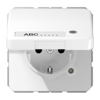 SCHUKO-розетка с крышкой, CD1520NAKLKOWW