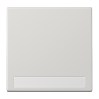 Клавиша для выключателя с полем для надписи; светло-серая, LS990NALG Клавиша для выключателя с полем для надписи; светло-серая, LS990NALG