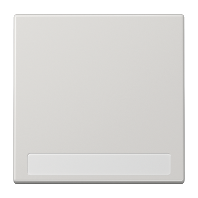 Клавиша для  выключателя с полем для надписи; светло-серая, LS990NALG
