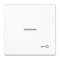 Клавиша для выключателя с символом «Ключ», LS990KO5TWW