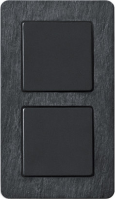 Berker Выключатель 1-клавишный + 1-клавишный , матовый антрацит/сланец, серия Q.7
