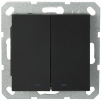 Выключатель двухклавишный со светодиодами 10A 250V~ с накладкой, цвет черный матовый (soft touch), G3023NPB, Jasmart Electric Выключатель двухклавишный со светодиодами 10A 250V~ с накладкой, цвет черный матовый (soft touch), G3023NPB, Jasmart Electric