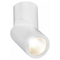 ST LUCE ST650.532.10 Светильник потолочный Белый LED 1*10W 3000K 800Lm Ra>90 38° IP44 D60xH175 165-265V