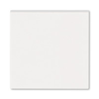 Накладка пластик ABB LEVIT