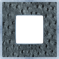 FD01441SCB Fede Belle Epoque Tapestry Рамка 1-ная, Alienasilverbright Chrome