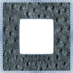 FD01441SCB Fede Belle Epoque Tapestry Рамка 1-ная, Alienasilverbright Chrome