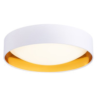 Evoluce SLE201122-01 Светильник потолочный Белый, Золото/Белый LED 1*24W 4000K