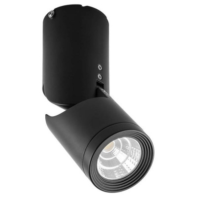 Светильник светодиодный 10W, 800Lm, 30 градусов, черный, наклонный, AL517, Feron 29889