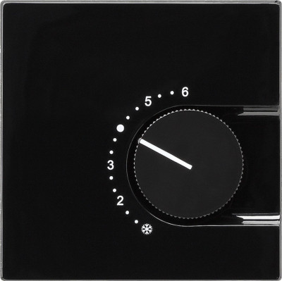 Терморегулятор с переключающим контактом на 24V/10 (4)A