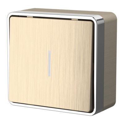 Werkel W5010110/ Выключатель одноклавишный с подсветкой Gallant (шампань рифленый), a051042