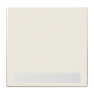 Клавиша для  выключателя с полем для надписи; слоновая кость, LS990NA