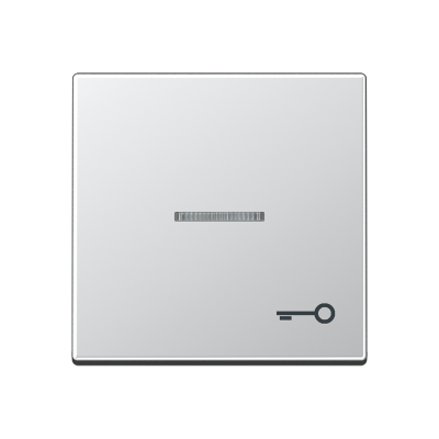 Клавиша для контрольного выключателя со знаком ключ; алюминий, A590KO5TAL