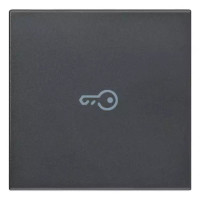 Vimar Клавиша для осевых устройств на 2 модуля символом "ключ", 20132.P