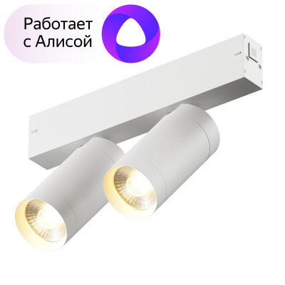 Denkirs DK8012-WH Акцентный светильник SMART SPOT DOUBLE 2x9W DIM 3000K-6000K, белый