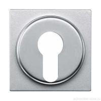 SM Накладка для выключателя, управл. ключом, арт.№SCMTN318601, алюм.