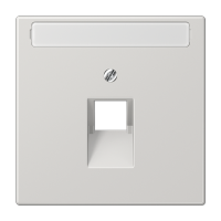 Крышка для одинарной телефонной и компьютерной розетки UAE с полем для надписи; светло-серая, LS969-1NAUALG Крышка для одинарной телефонной и компьютерной розетки UAE с полем для надписи; светло-серая, LS969-1NAUALG