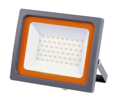 PFL -SC- 100w  6500K IP65 (матовое стекло) Jazzway, 5001428