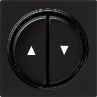 029447 Gira Двойная клавиша для жалюзи со стрелками