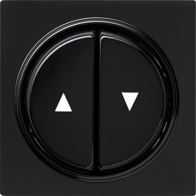 029447 Gira Двойная клавиша для жалюзи со стрелками