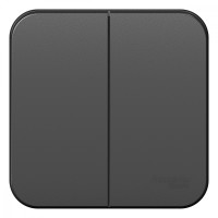 BLANCA О/У 2-клавишный ВЫКЛЮЧАТЕЛЬ (cх.5), 10А, 250B, АНТРАЦИТ BLANCA О/У 2-клавишный ВЫКЛЮЧАТЕЛЬ (cх.5), 10А, 250B, АНТРАЦИТ