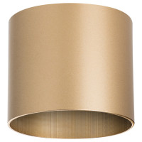 Lightstar 213490 Светильник RULLO GX53 ЗОЛОТО (в комплекте) Lightstar 213490 Светильник RULLO GX53 ЗОЛОТО (в комплекте)