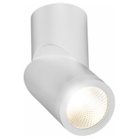 ST LUCE ST650.542.10 Светильник потолочный Белый LED 1*10W 4000K 800Lm Ra>90 38° IP44 D60xH175 165-265V