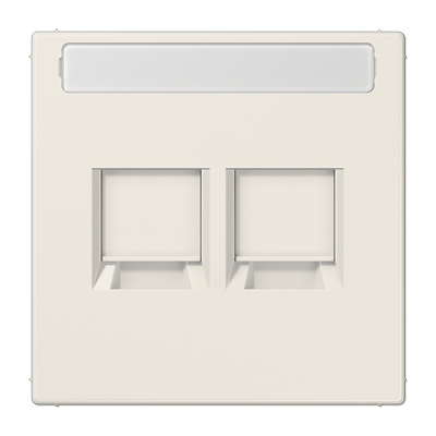 Плата (фиксация защёлкиванием) для двух модулей с полем для надписи; термопласт; слоновая кость, LS1969-25NAWE