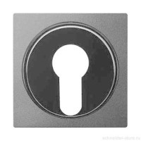 SM Накладка для выключателя, управл. ключом, арт.№SCMTN318601, антрац.