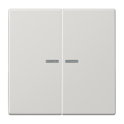 Двойная клавиша с окошками для балансирных механизмов выключателей (кнопок), в комплекте с CD95HP (крепежный элемент), возможно IP44; дюропласт; светло-серый; LS990, LS995KO5LG