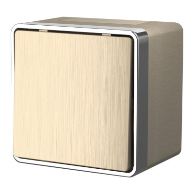 Werkel W5010210/ Выключатель одноклавишный влагозащищенный Gallant (шампань рифленый), a051040