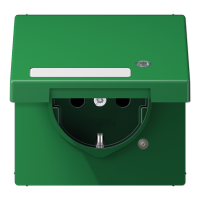 SCHUKO-розетка с крышкой  , LS1520NAKLKOGN