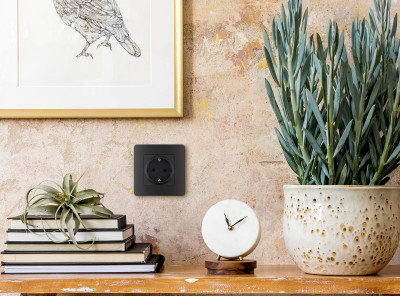 Legrand Розетка с заземлением - Legrand Inspiria - без шторок 16А 250В винтовые зажимы - антрацит, 673723