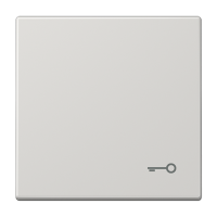 Клавиша с символом "ключ", LS990TLG Клавиша с символом "ключ", LS990TLG