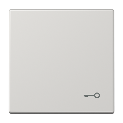 Клавиша с символом "ключ", LS990TLG