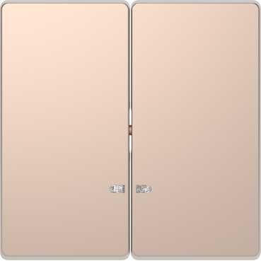 D-Life Клавиша 2-ная с линзой для LED-модуля, шампань