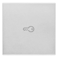 Vimar Клавиша для осевых устройств на 2 модуля символом "ключ", серебро матовое, 20132.P.N