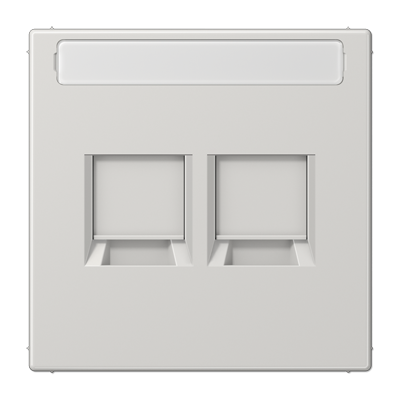 Плата (фиксация защёлкиванием) для двух модулей с полем для надписи; термопласт; светло-серый, LS1969-25NAWELG