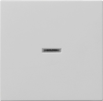 0290015 Gira Клавиша с подсветкой