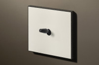 Cockpit 1C 250V-10A 2-way, Matt White RAL9010 / Textured Black (Cone)