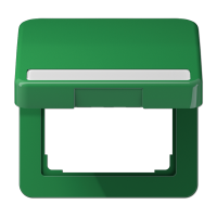 крышка с полем для надписи, CD590BFNAKLGN