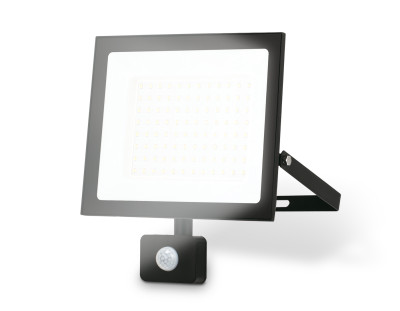 Прожектор светодиодный с датчиком движения 6500K 100Вт IP65, AMBRELLA LIGHT, ST8118