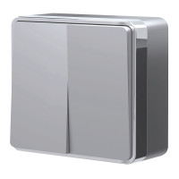 Werkel W5020006/ Выключатель двухклавишный Gallant (серебряный), a052769 Werkel W5020006/ Выключатель двухклавишный Gallant (серебряный), a052769