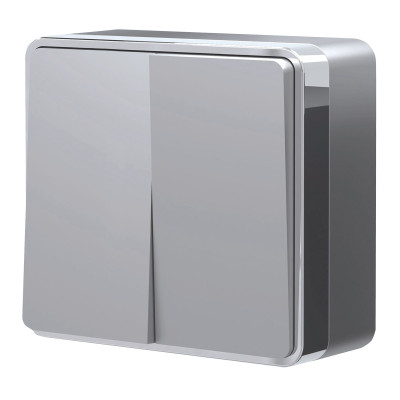 Werkel W5020006/ Выключатель двухклавишный Gallant (серебряный), a052769