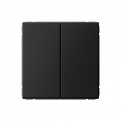 GAL001017S - ARTGALLERY 2-клавишный ВЫКЛЮЧАТЕЛЬ КНОПОЧНЫЙ, 10АХ, механизм, быстрозажим. клем., КАРБОН, Systeme Electric