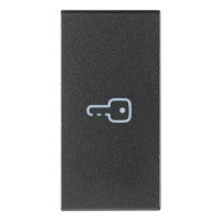 Vimar Клавиша для осевых устройств на 1 модуль символом "ключ", серая, 19131.P Vimar Клавиша для осевых устройств на 1 модуль символом "ключ", серая, 19131.P